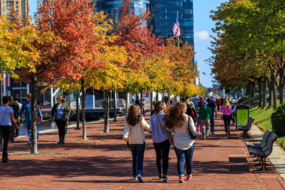 Group walking fall foliage lined street in downtown Baltimore